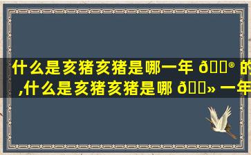什么是亥猪亥猪是哪一年 💮 的,什么是亥猪亥猪是哪 🌻 一年的生肖